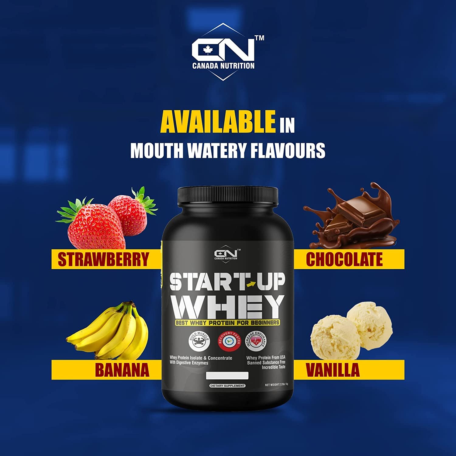 Canada Nutrition Startup Whey, Beginner's Whey Protein Healthmaker